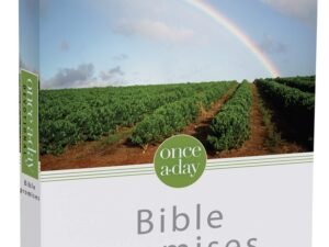 NIV Once-A-Day Promises Devotional Bible, a paperback book with daily encouragement