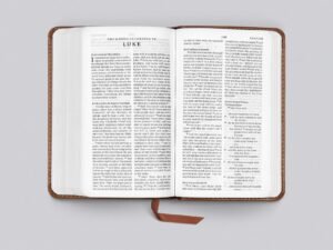 Close-up of ESV Pocket Bible Trutone Chestnut Imitation Leather cover