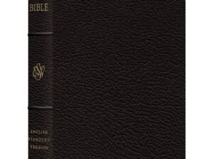 ESV Preaching Bible in goatskin black leather bound, verse-by-verse edition.