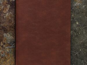 King James Version Thompson Chain-Reference Bible in Brown Leathersoft cover