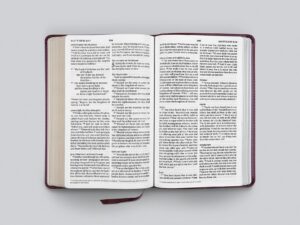 Genuine mahogany leather ESV Large Print Thinline Bible