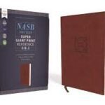 Super Giant Print Reference Bible in LeatherSoft Brown with Red Letter 1995 Edition