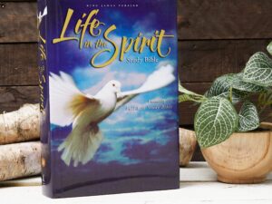 KJV Life in the Spirit Study Bible, Hardcover, Red Letter Edition on a bookshelf, highlighting its red letter edition feature