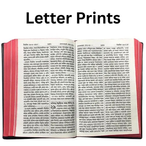 Bengali Holy Bible - Standard Church Edition