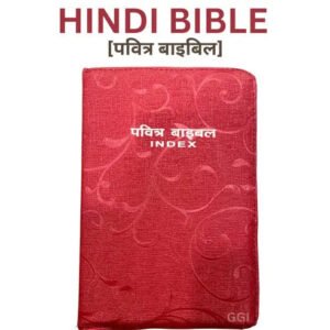 Holy Bible in Hindi with Protective Cover