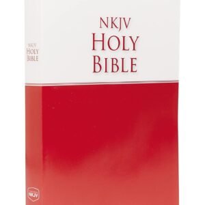 Economy Bible-NKJV-NIRV-NIV: Beautiful. Trustworthy. Today Paperback