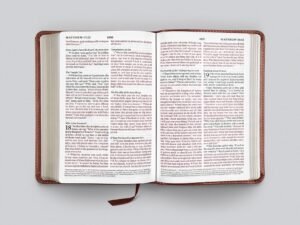 Close-up of terracotta leather bound ESV Large Print Compact Bible