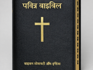 Hindi Bibles