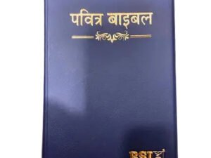 BSI Vinyl Crown Hindi Holy Bible - Blue Edition