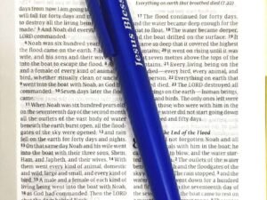 Good News Bible, Compact Size, Hardbound Edition - Pink