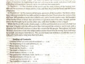 Good News Bible, Compact Size, Hardbound Edition - Pink