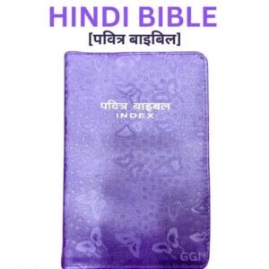 Holy Bible in Hindi with Protective Cover - Church Edition