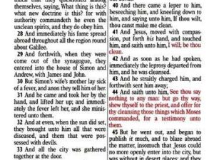 KJV Large Print Compact Bible, Brown Leather-Soft Cover with Zipper Closure (ISBN: 9781642728651)
