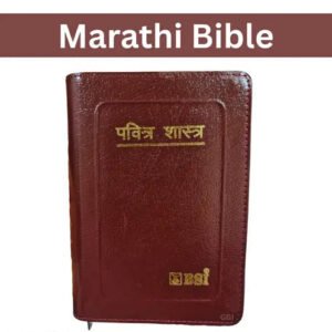 Pavitra Bible: Marathi Holy Bible with Zipper Closure - Brown Edition