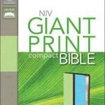 NIV Giant Print Compact Bible with clear and readable text