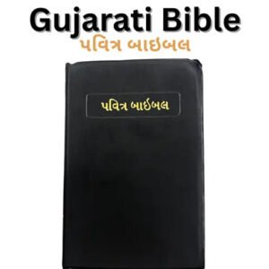 Gujarati Holy Bible - Standard Church Edition