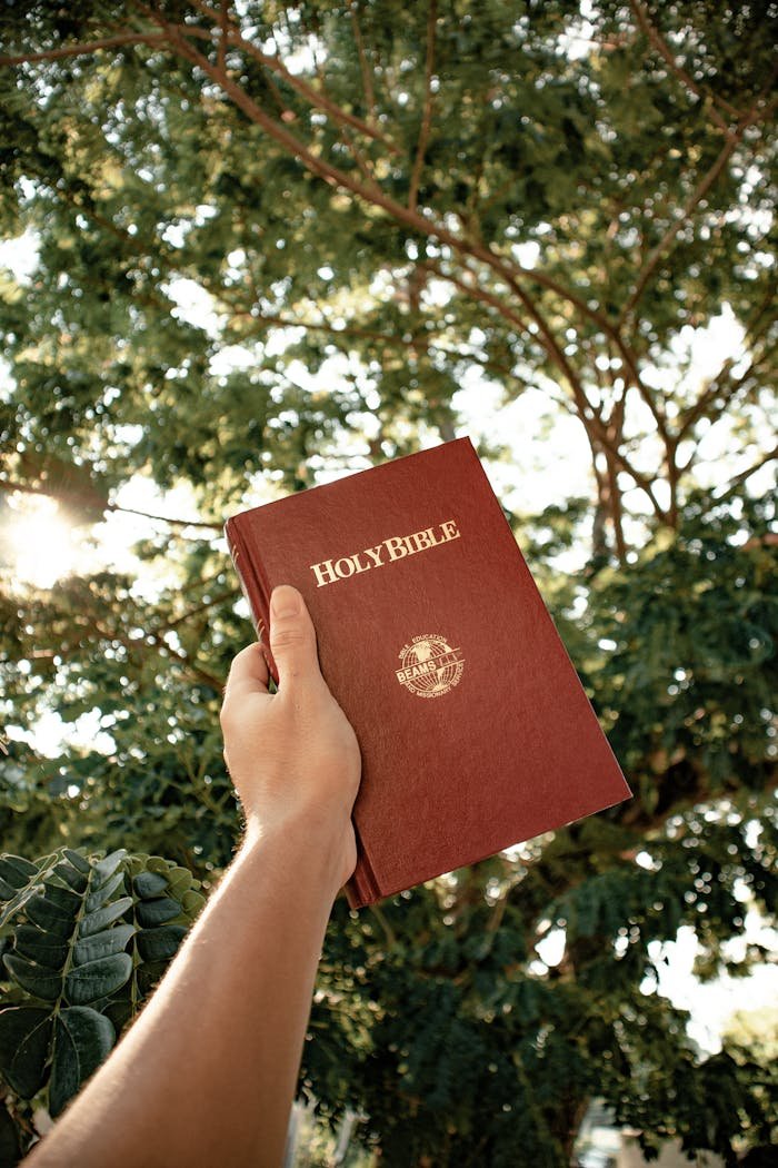 A hand holds the Holy Bible outdoors amid green leaves, signifying spirituality and nature.