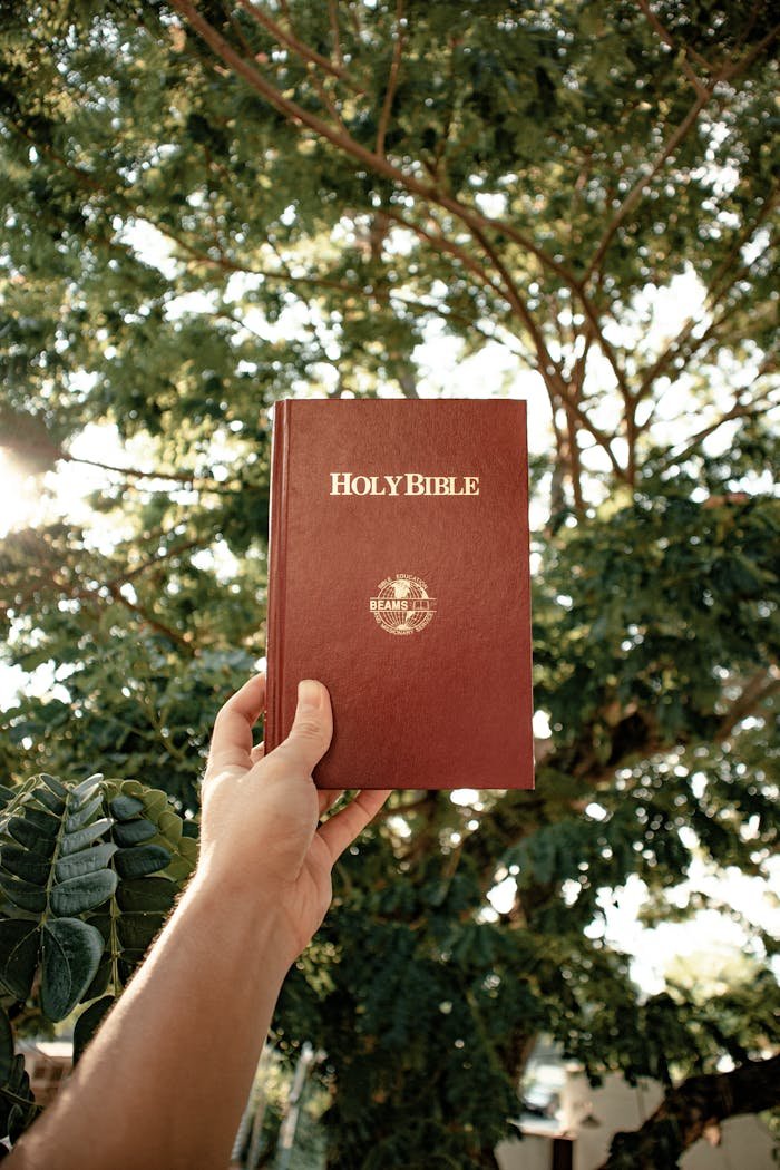 A hand holding the Holy Bible outdoors against a backdrop of lush green leaves and trees.