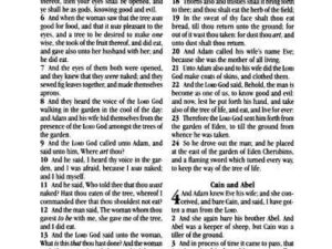 KJV Holy Bible, Compact Edition - Granite Gray Imitation Leather with Thumb Indexes