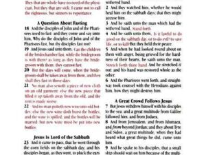KJV Holy Bible, Compact Edition - Granite Gray Imitation Leather with Thumb Indexes