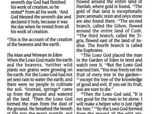 NLT Premium Value Giant Print Bible, British Tan LeatherSoft Cover, ISBN 9781496488263