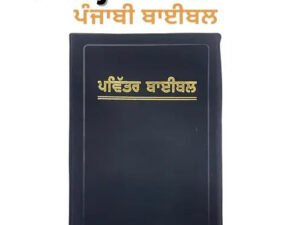 Holy Bible in Punjabi - Standard Church Edition