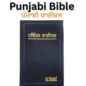 Holy Bible in Punjabi - Standard Church Edition