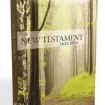 Outreach New Testament: New International Version, Green Forest Path Paperback – Special Edition