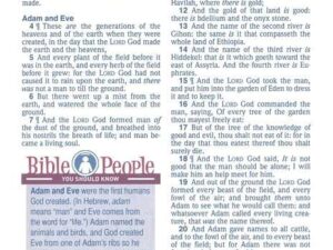 KJV Kids Study Bible: Two-Toned Flexisoft Edition (ISBN: 9781683072829)