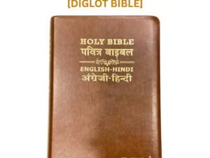 Holy Bible: Hindi-English Bilingual Diglot Edition