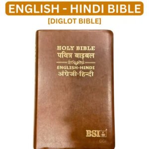 Holy Bible: Hindi-English Bilingual Diglot Edition