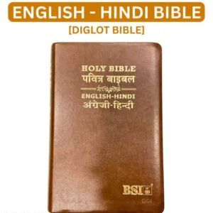Holy Bible: Hindi-English Bilingual Diglot Edition