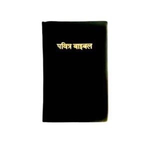 Hindi Holy Bible with Zipper Closure and Golden Gilded Edges - BSI Edition