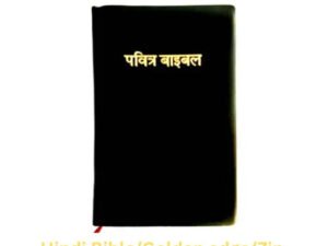 Hindi Holy Bible with Zipper Closure and Golden Gilded Edges - BSI Edition