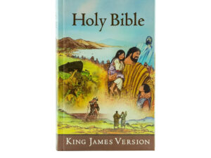 KJV Children's Holy Bible