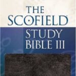 NKJV Scofield III Study Bible Burgundy