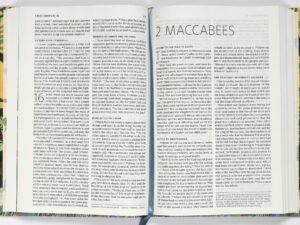 ESV-CE Catholic Children's Bible pages for reading and learning