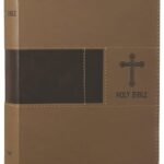 New International Version Bible in Red Letter Edition with a professional tone