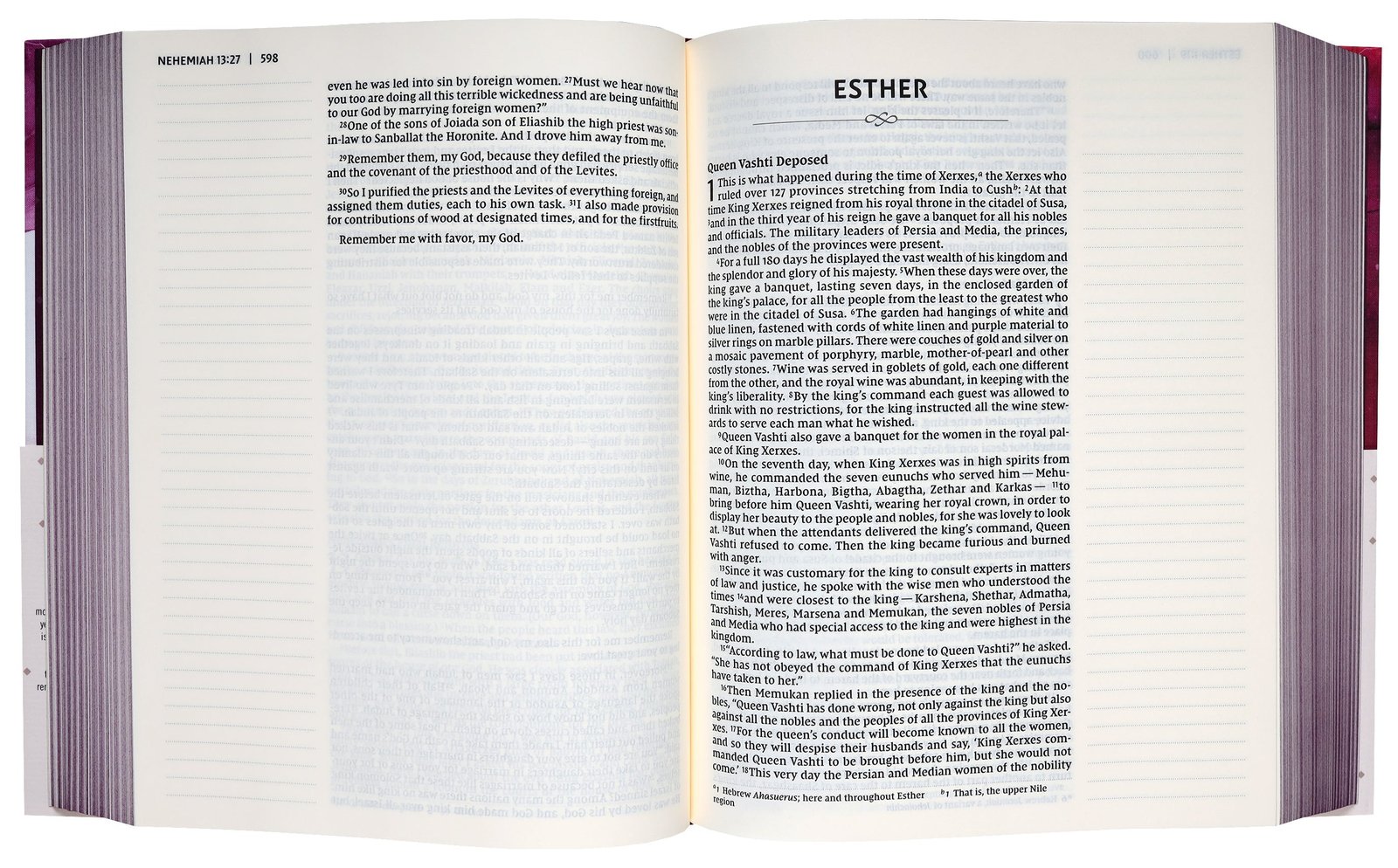 NIV Artisan Collection Bible Pink Red Letter Edition