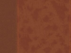 NIV Large Print Personal Size Bible, Red Letter Edition, brown leather cover