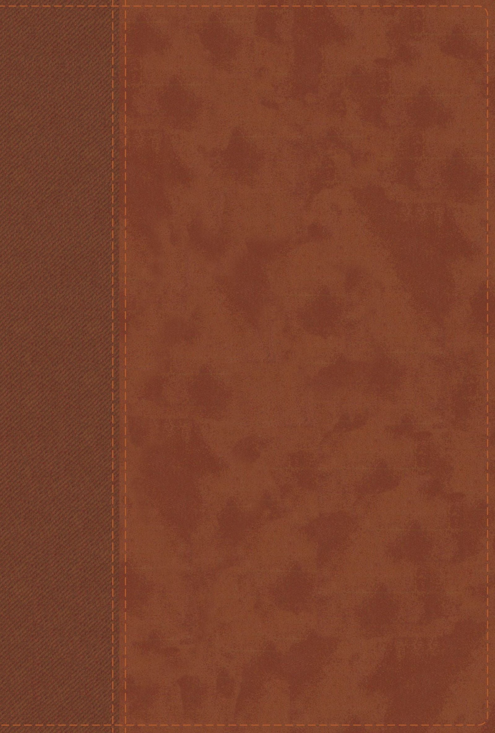 NIV Large Print Personal Size Bible, Red Letter Edition, brown leather cover
