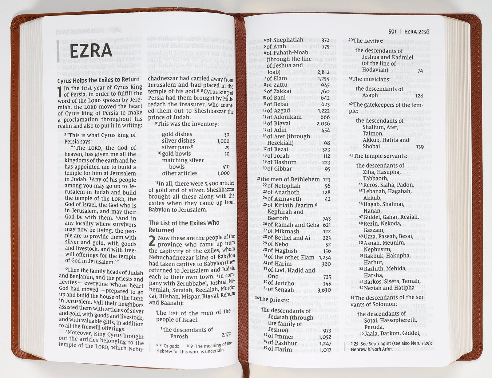 NIV Large Print Personal Size Bible, Red Letter Edition, side view