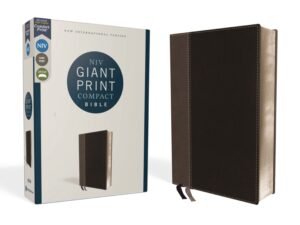 Compact NIV Bible with Giant Print and Red Letter Edition in a Black cover