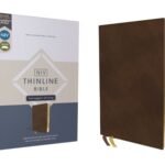 NIV Thinline Bible with Passaggio setting in brown with red letter edition
