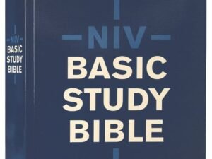 NIV Economy Edition Blue Study Bible with red letter edition