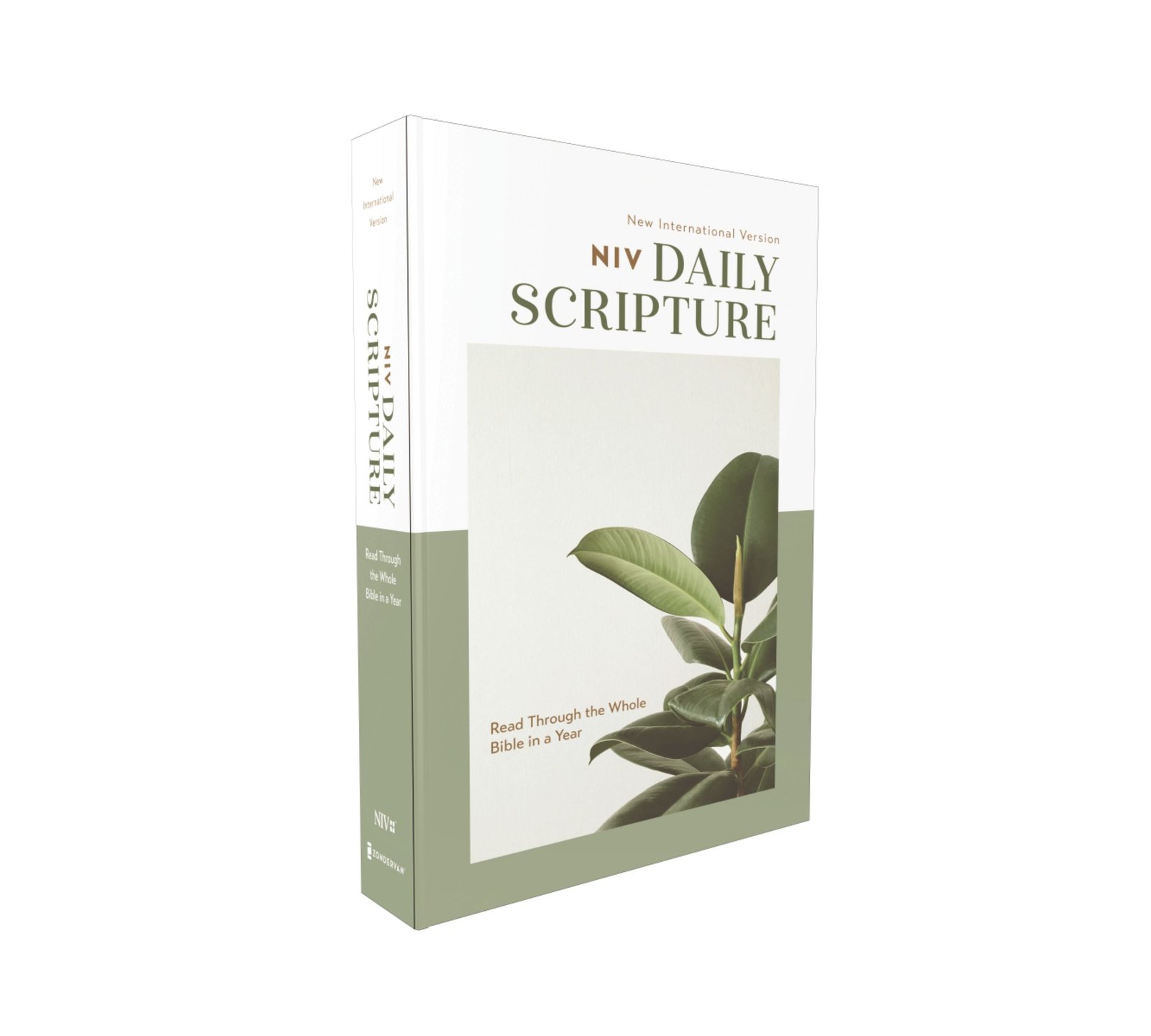 Niv Large Print Daily Scripture Bible White/sage