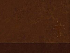 NIV Thinline Bible, Large Print, Brown, Zippered Bible with Red Letter Edition