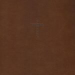NIV Quest Study Bible, Large Print, Brown, Thumb Indexed Bible Study