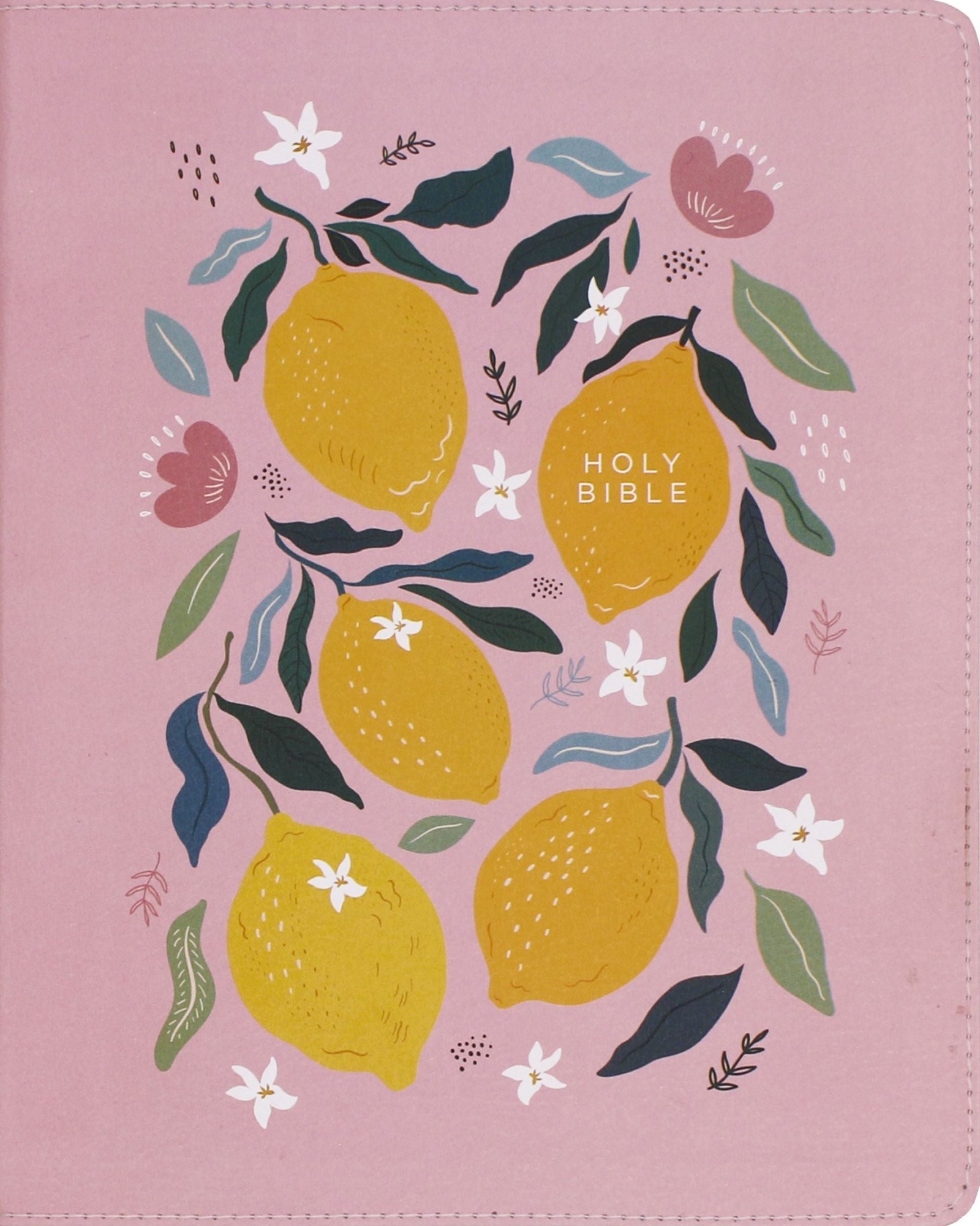 Niv Journal The Word Bible With Devotional Journaling Space (red Lette