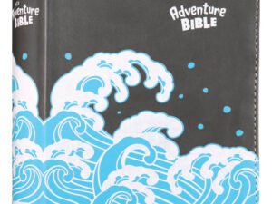 NIV Adventure Bible in a Gray (Black Letter) edition.